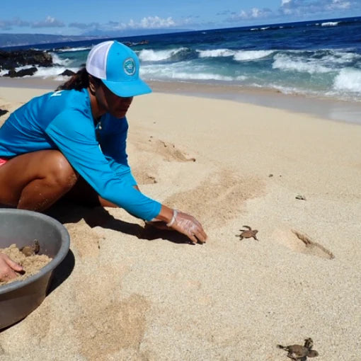 Hawaii Wildlife Fund